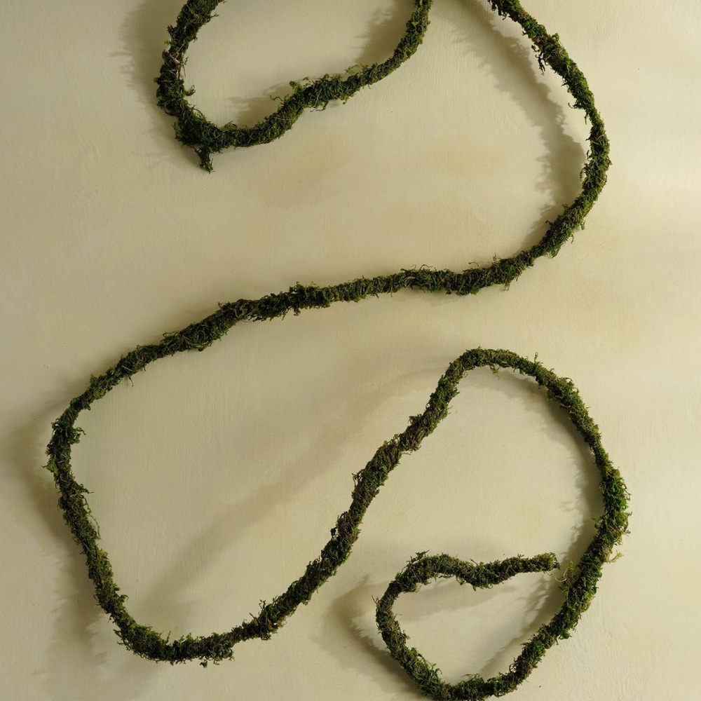 Anthropologie. Terrain grlnd moss vine 12